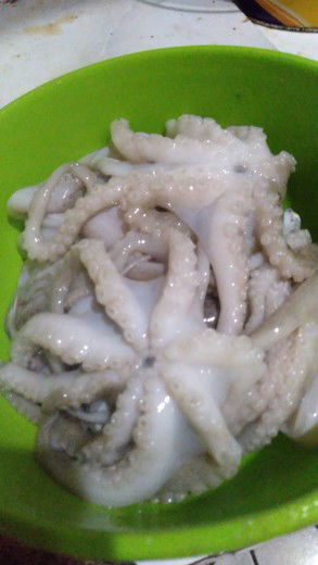 makan baby octopus