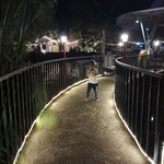 Qia Gista profile icon