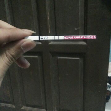 cerita hamil buah hati