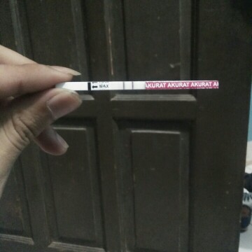 cerita hamil buah hati