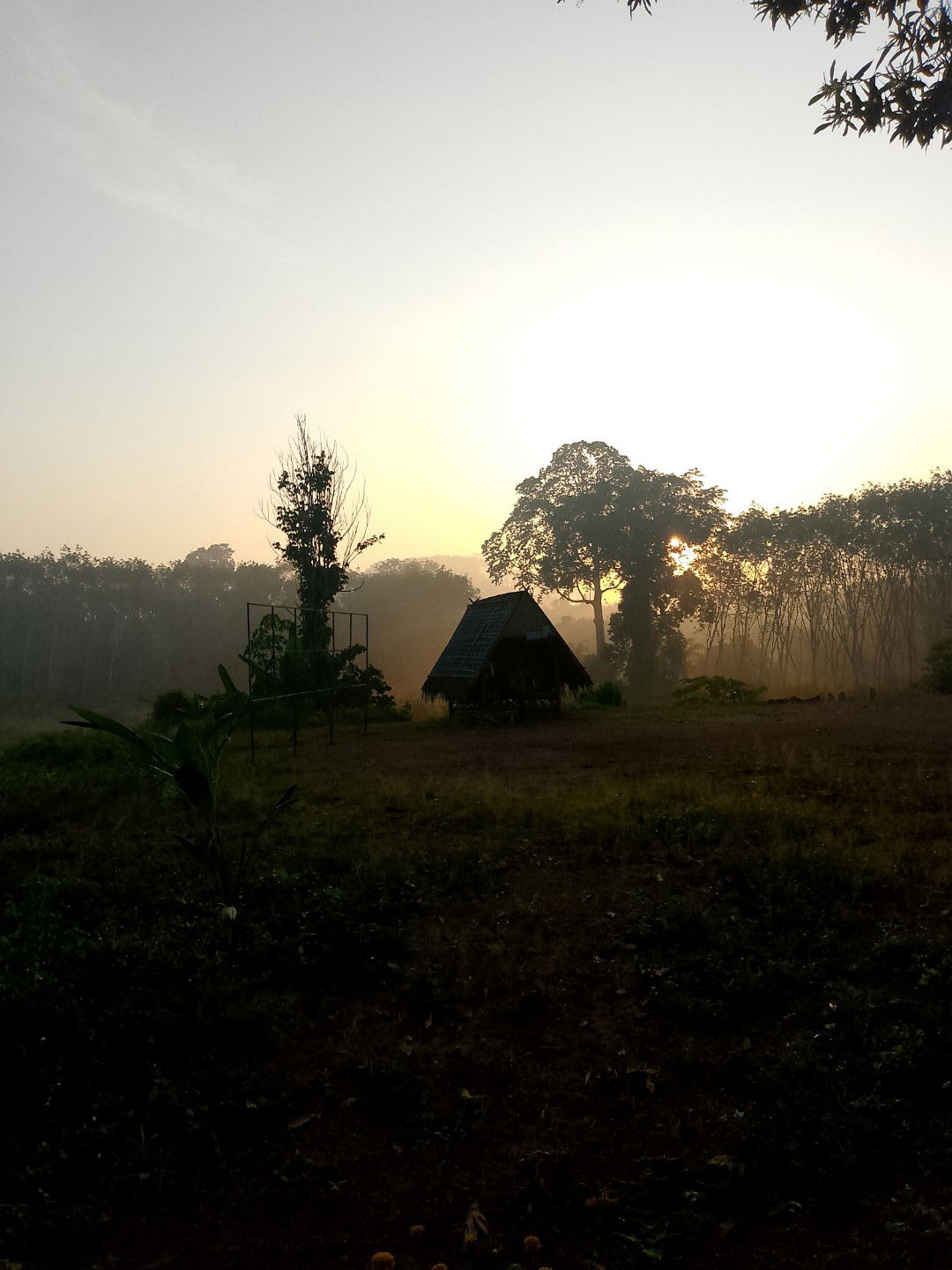 พัทธวรรณ ราชิวงค์ profile icon