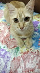 Sue profile icon
