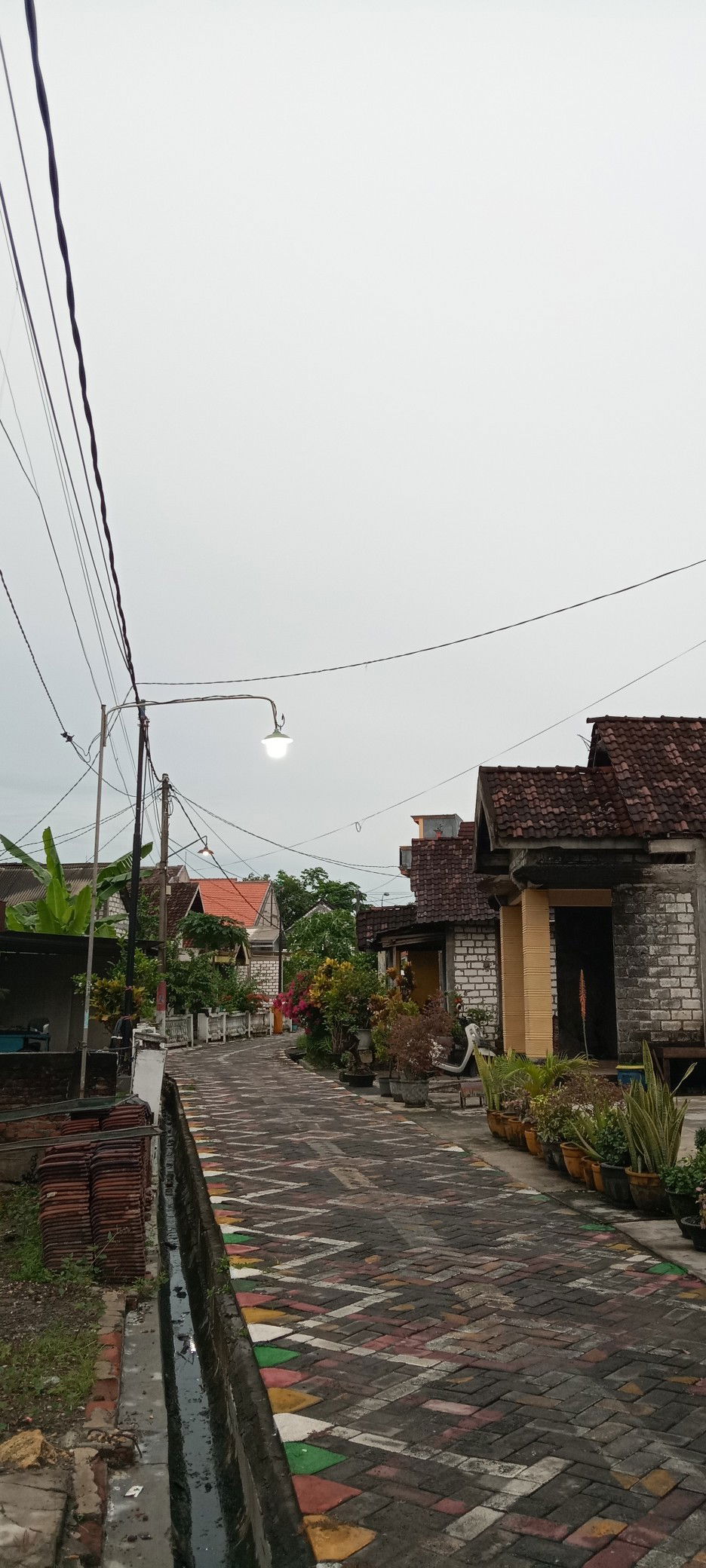 Jazeera profile icon