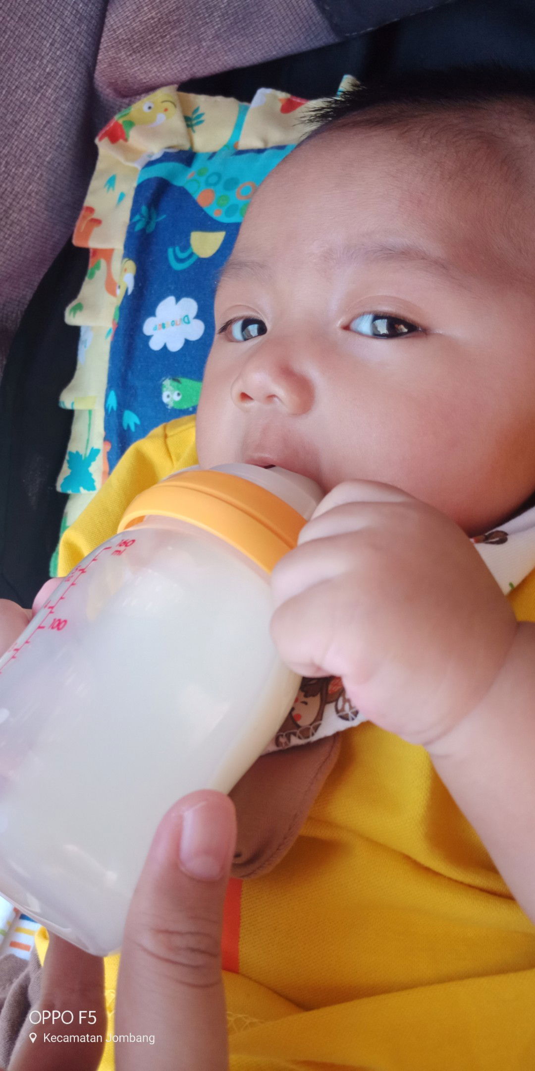 bb normal atau tidak