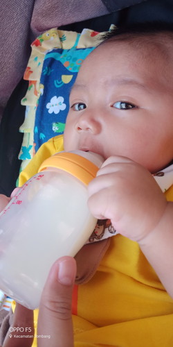 bb normal atau tidak