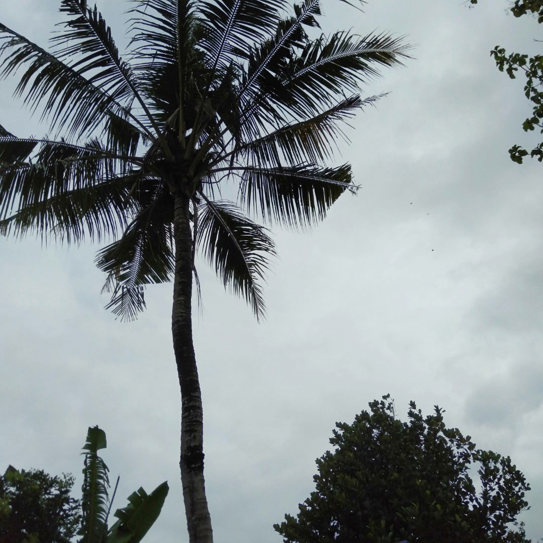 Resti Dwi Septiani profile icon