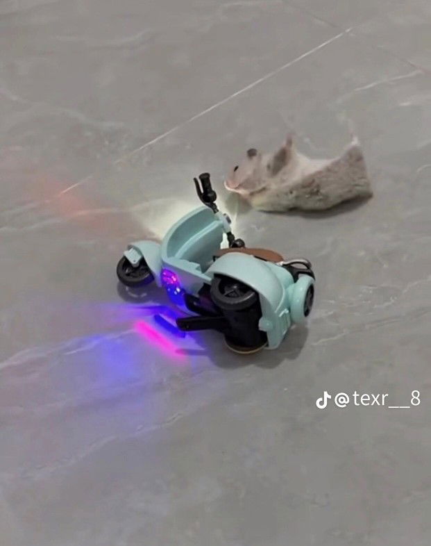 Marim Thxnam profile icon