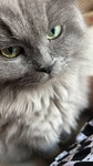 S.B.S profile icon
