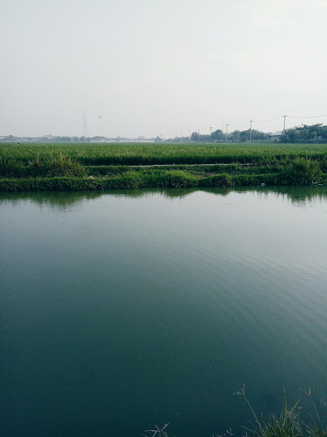 Mila kemilau profile icon