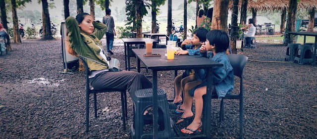 Dewi Dolphin profile icon