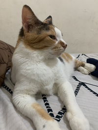 Ruva Maulidia profile icon