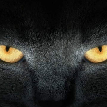 Putri Nawangsari profile icon