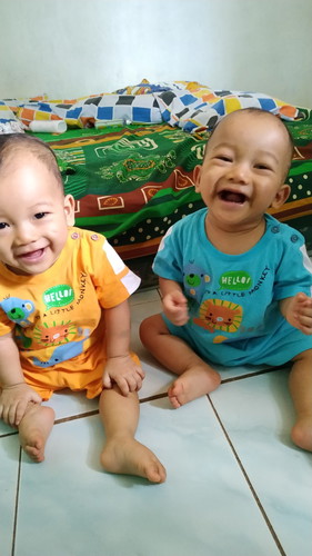 twins