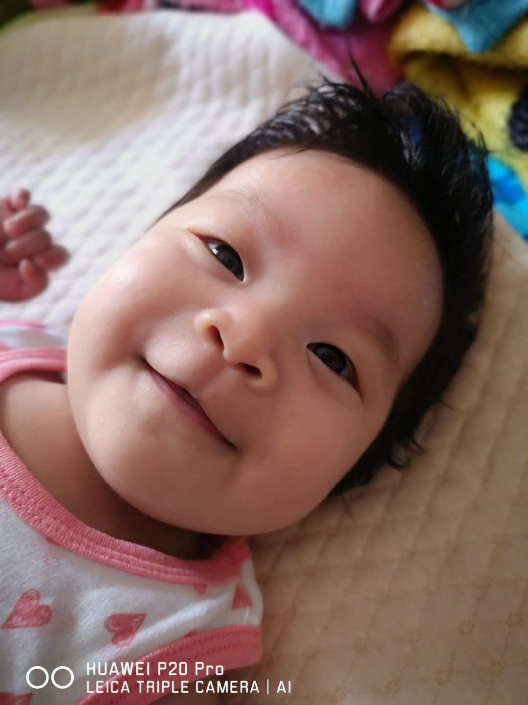 จุ๊บุ กะ หมาอ้วน profile icon