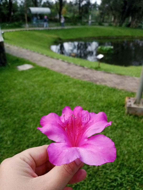 Nurma Nurjanah profile icon