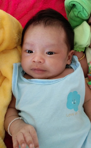 เสริมนมผง