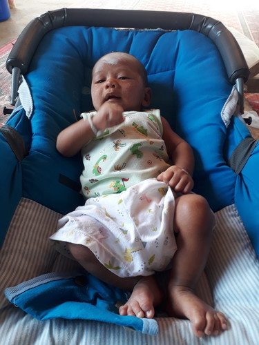 ลูกตัวเหลือง