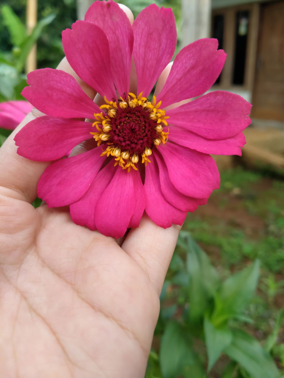 dewi juliana  profile icon