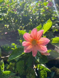 Mẹ Phong Quân profile icon