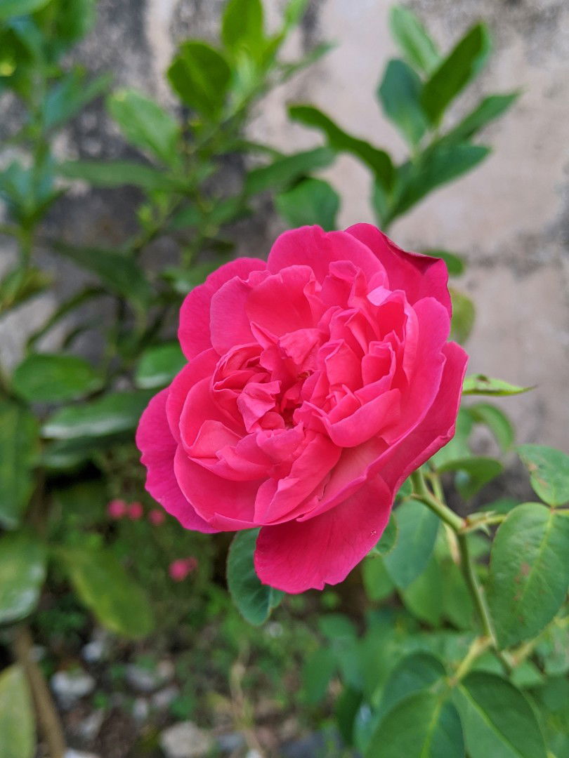 Tabita Yanti profile icon