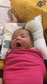 Febria Ariandani profile icon