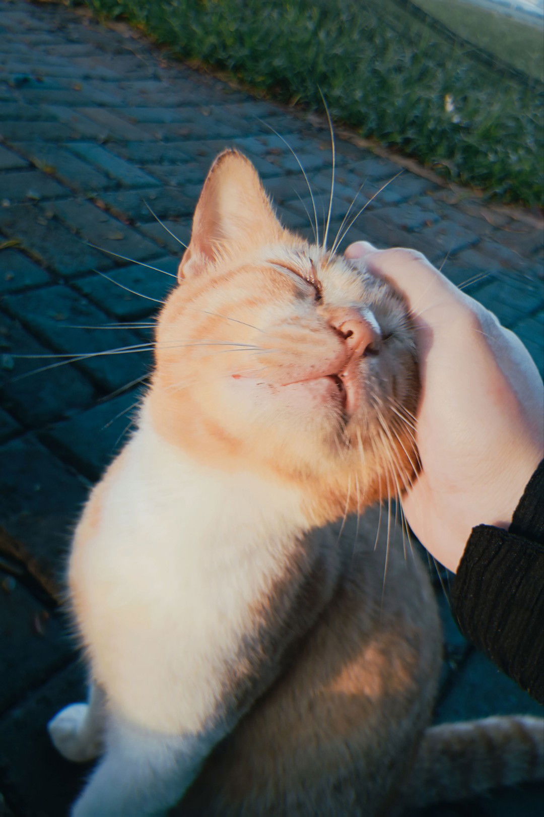 Ajengggg profile icon