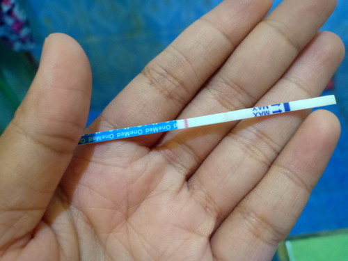 mohon jawaban