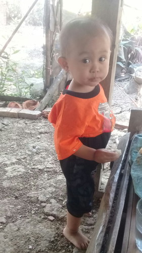 kesehatan