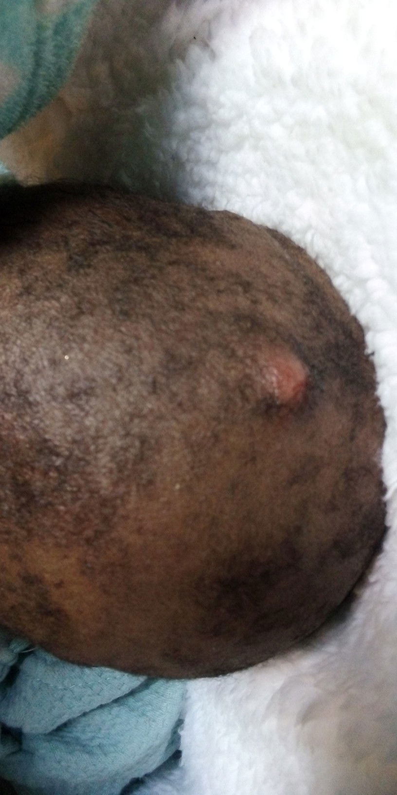 help a mom out please