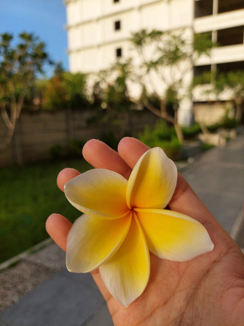 Venti Apriani profile icon