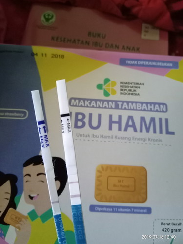 Hamil pertama