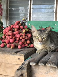 Keksarin Nasawas profile icon