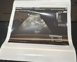 Sarifa Ali profile icon