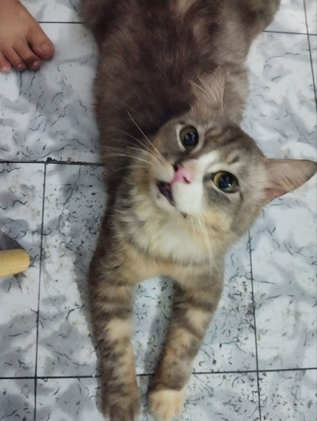 Mita Ayu profile icon