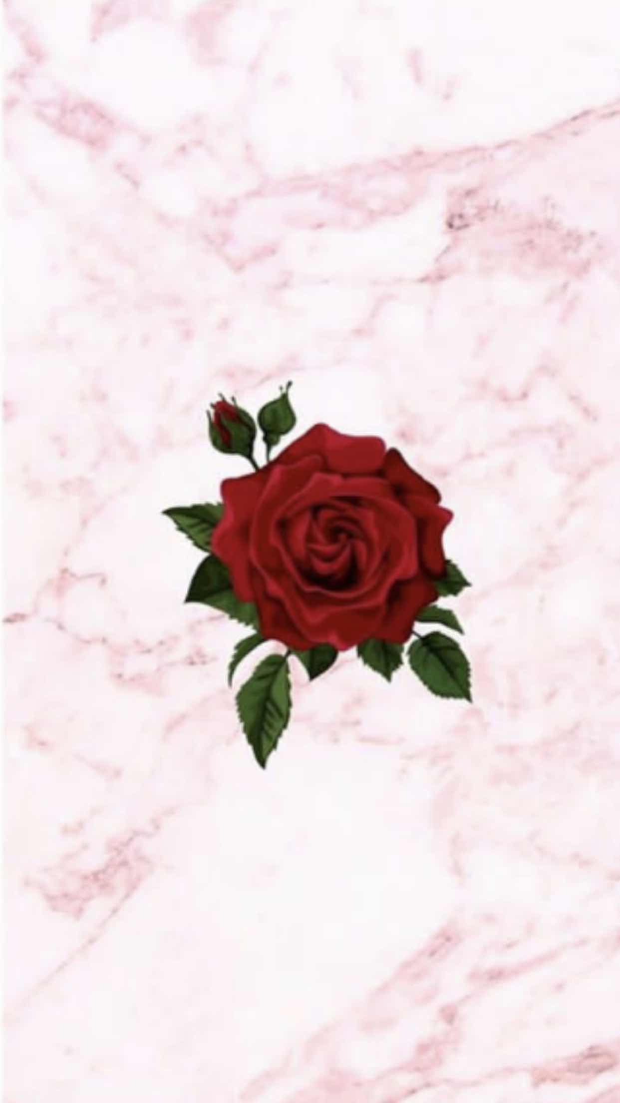 Rini Aprrianti profile icon