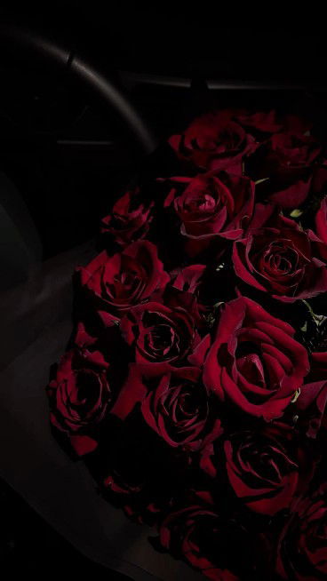 unknown person profile icon