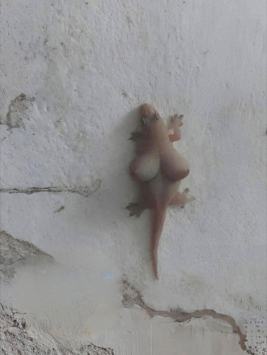 Annie vargas profile icon