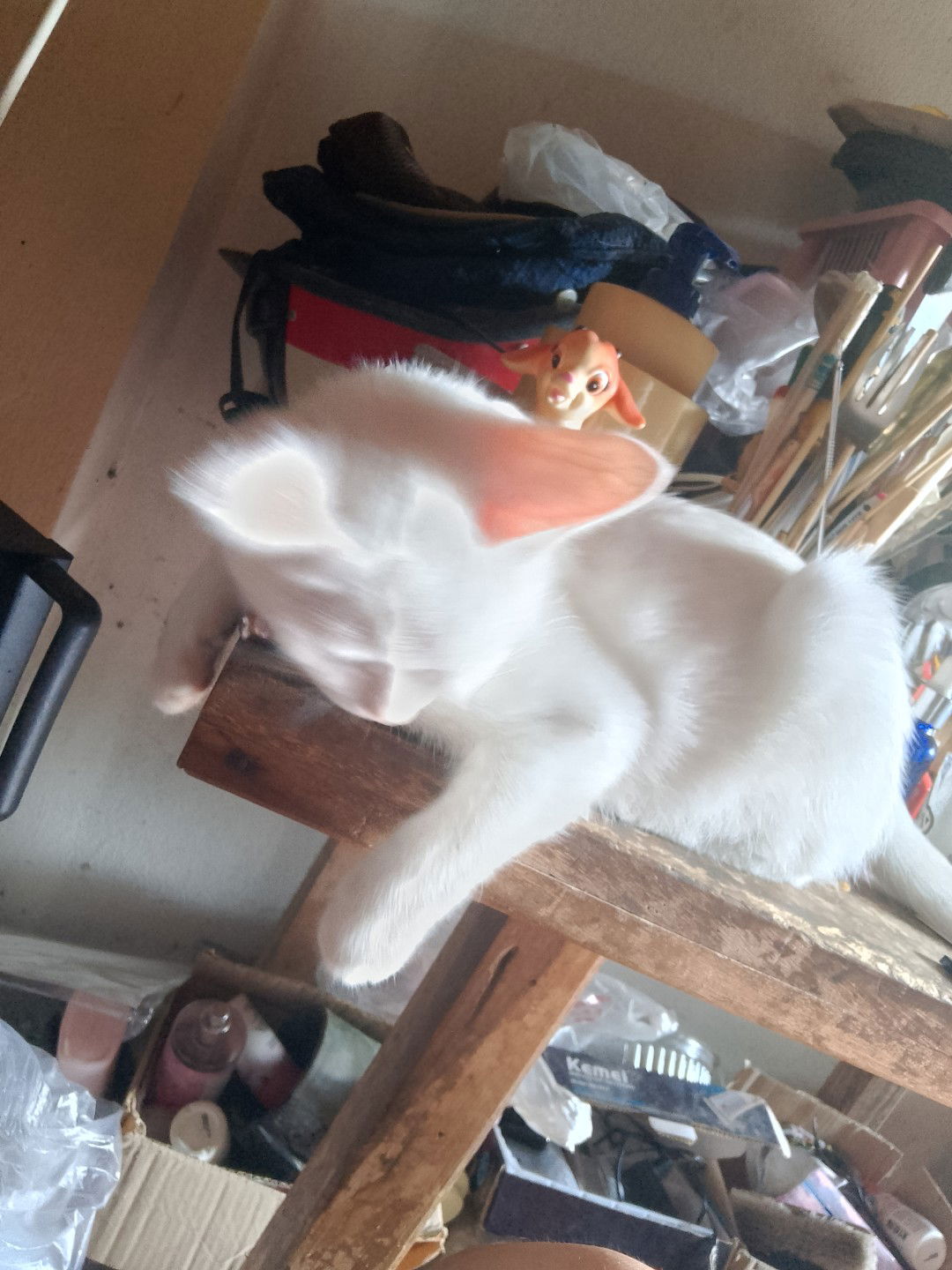 Thanyaporn Raksa profile icon