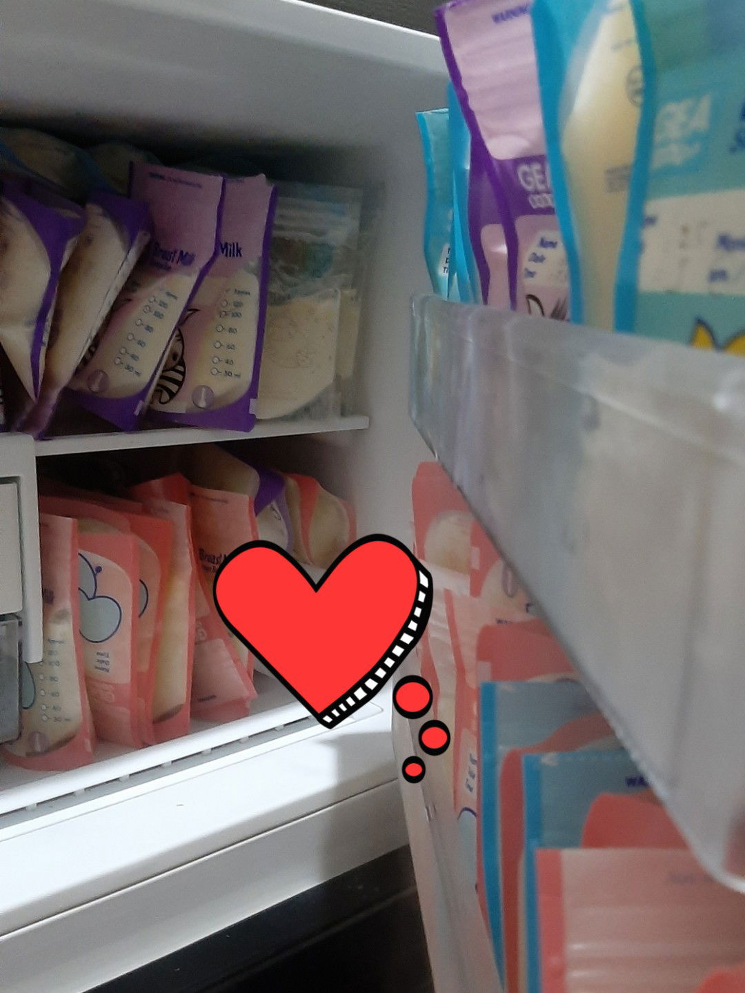 Donor ASIP Sidoarjo/Surabaya