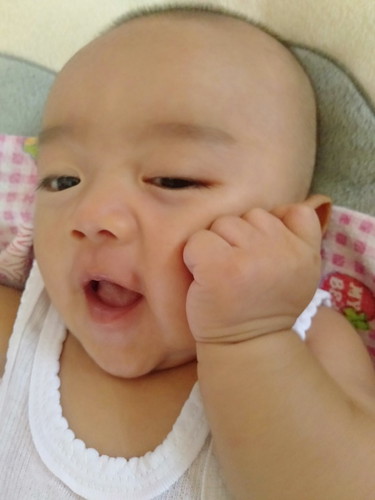 bayi gigit