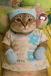 คุณแม่สายสตรอง profile icon