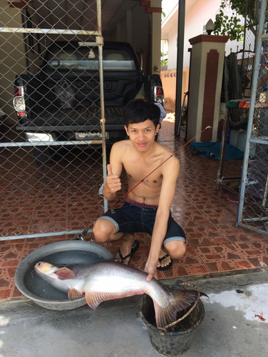 คนท้องกินปลาบึกได้มั้ย