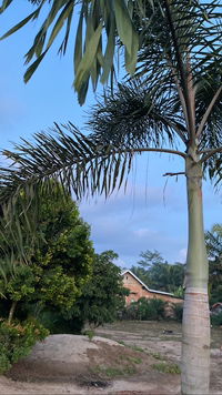 fina ardiana profile icon