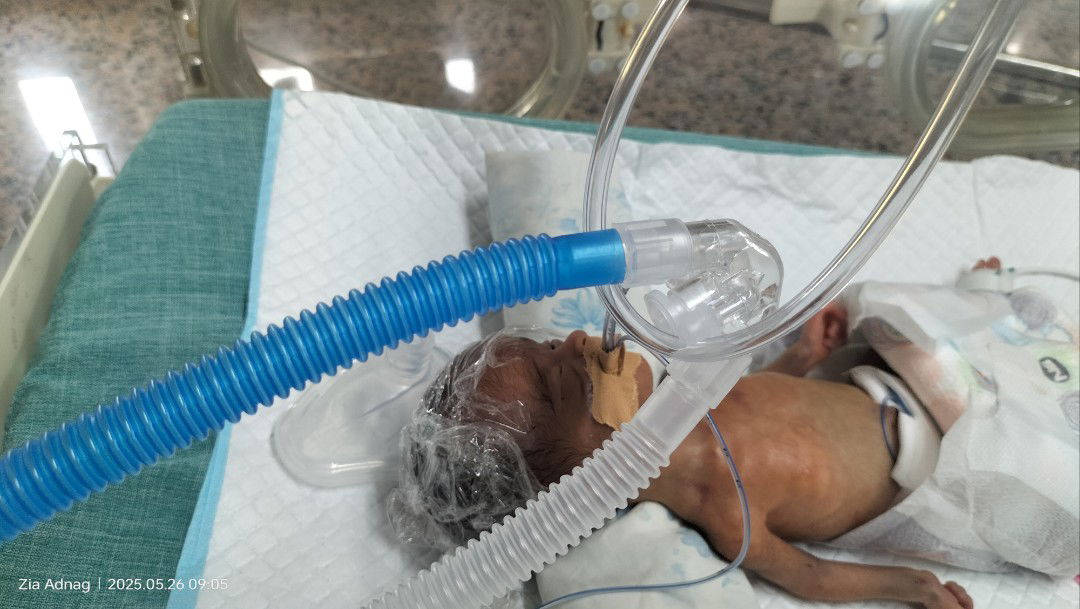 Zia Adnag profile icon