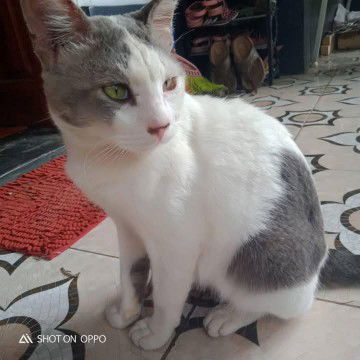 Eni Mulyani profile icon