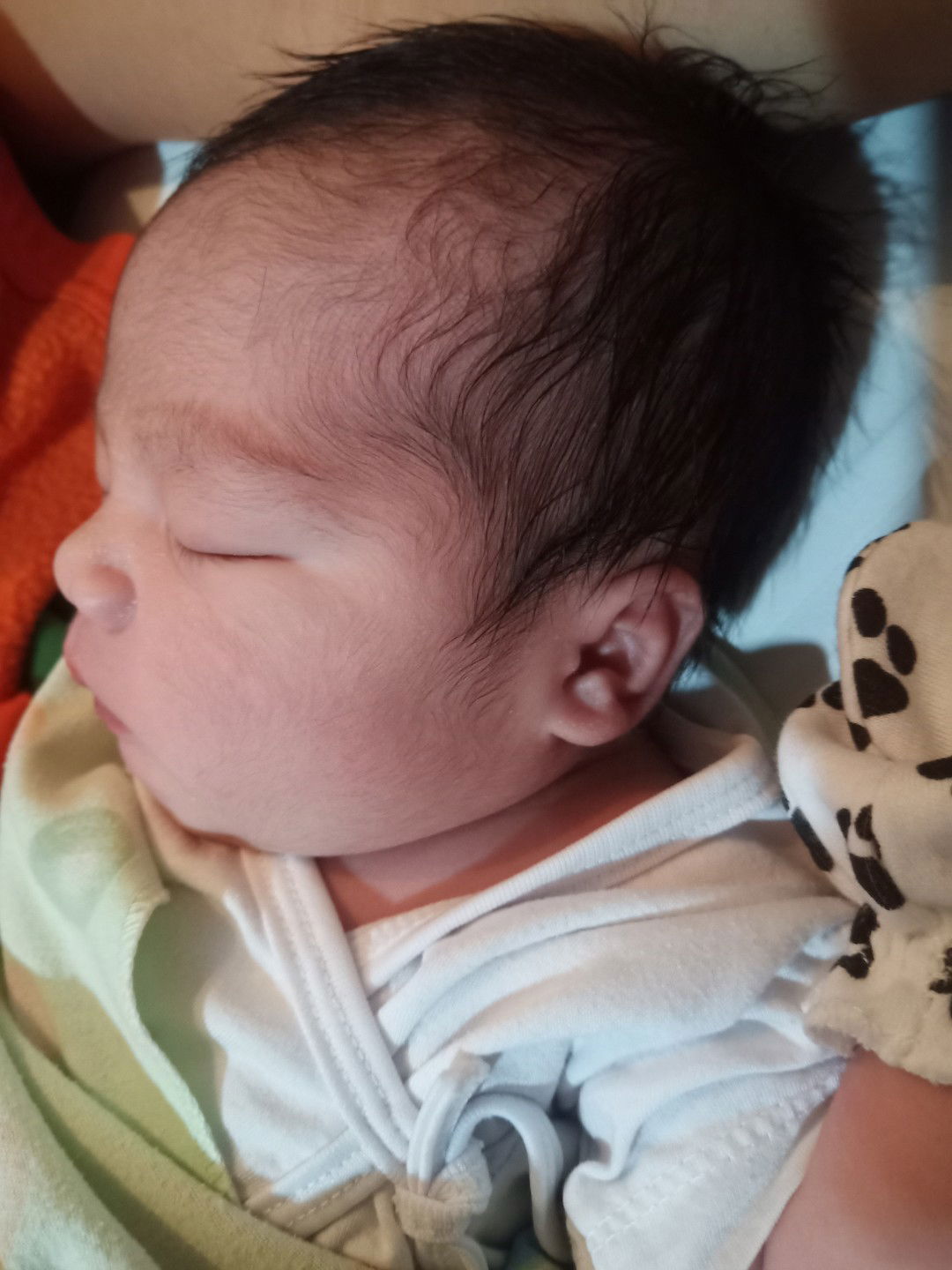 hpl 22 November sudah lounching