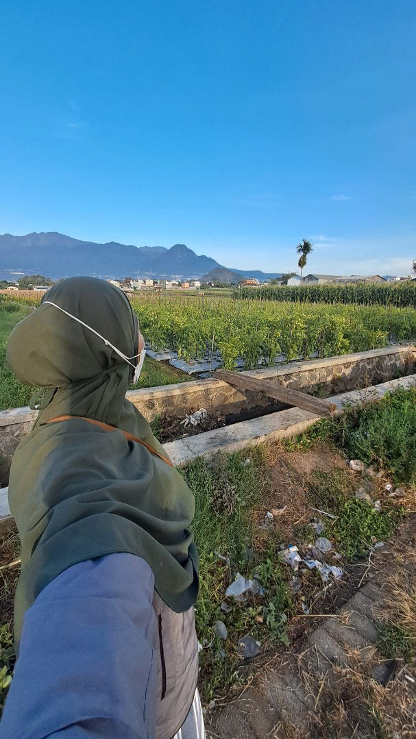 Diary Aisyah profile icon