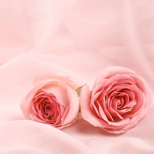 Hennie Widi profile icon