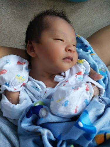 เห่อลูกชาย