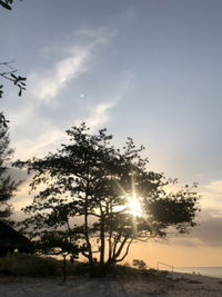 Nona Della profile icon